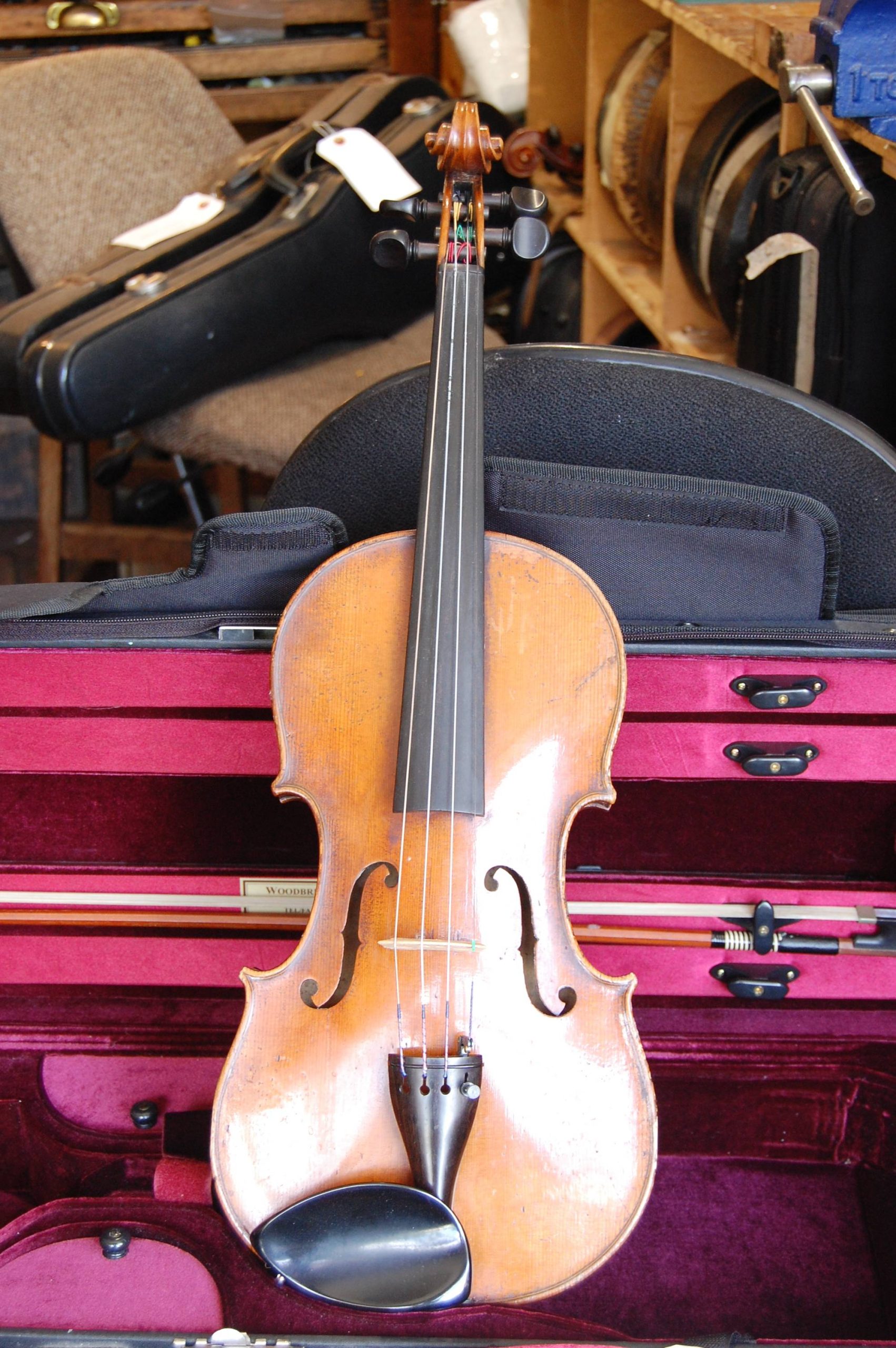 violin for sale